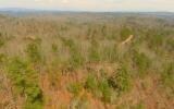 View of drone / aerial view