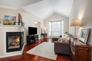 6105 Jasmine Dr Fireplace