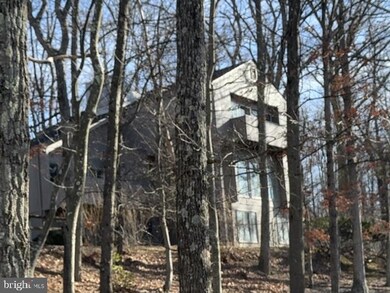 3 Lee Cir, Berkeley Springs, WV 25411 - photo 2