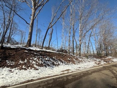 View of snowy view