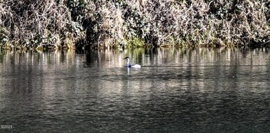 River view from boat house