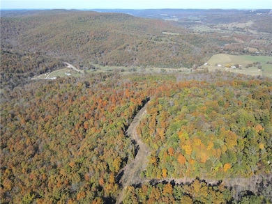 0 Cr 935 unit 1329170, Berryville, AR 72616 - photo 4