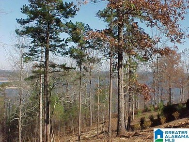 LOT # 20 Overlook Dr, Wedowee, AL 36278 - photo 5