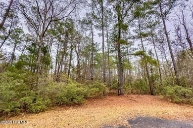703 Davy Jones Court