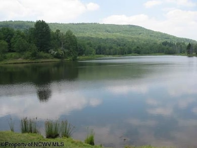 Lot 2 Northlake Development Dr, Davis, WV 26260 - photo 2