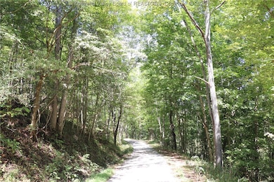 0 16 Mile Rd unit 277782, Apple Grove, WV 25187 - photo 5