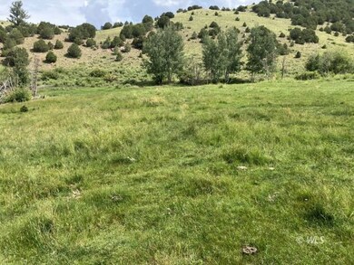 565 / 365 Marcy Ave, Westcliffe, CO 81252 - photo 3