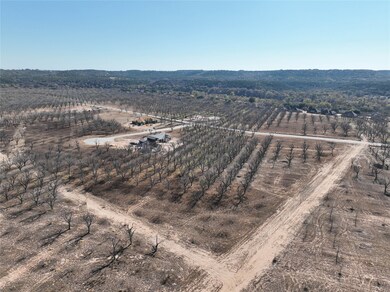 112 Palamino Ct, Cresson, TX 76035 - photo 4