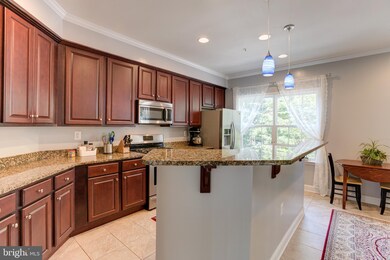 871 Ryan St, Baltimore, MD 21230 - photo 7