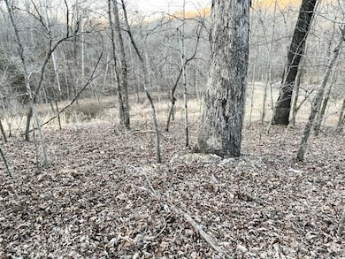 Lots 19 & 20 Tudor Ln, Bella Vista, AR 72715 - photo 5