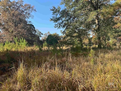 16600 Stacey Rd, Bay Minette, AL 36507 - photo 2