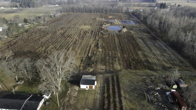 V/L 3843 Browntown Rd, Sawyer, MI 49125 - photo 3