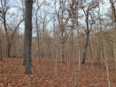 0 Dunn Dr unit Lot 1331, Edwards, MO 65326 - photo 4