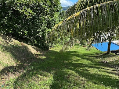 Km 3.9 Carr 189, Gurabo, PR 00778 - photo 5