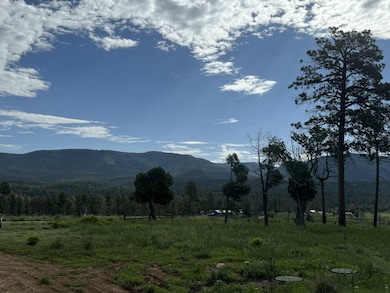 132 Pawhuska Dr unit 7, Cloudcroft, NM 88350 - photo 6