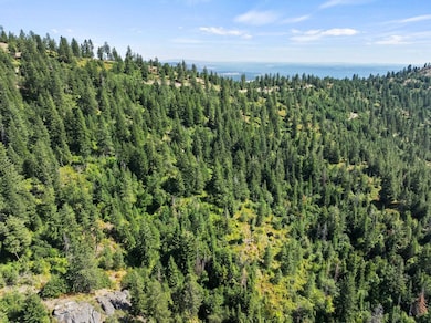 6671 Blueridge Way, Deer Park, WA 99006 - photo 3