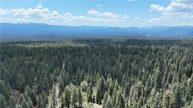 0 Fumarole Dr unit SN25120276, McCloud, CA 96057 - photo 7