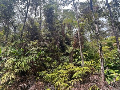 0 Ala Ohia St unit 725987, Volcano, HI 96785 - photo 2