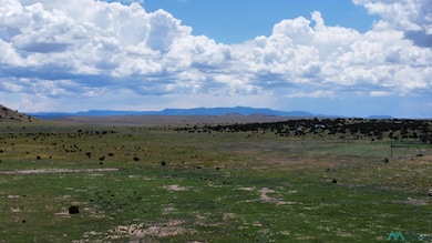 Lot 145 Quail Rd, Quemado, NM 87829 - photo 3