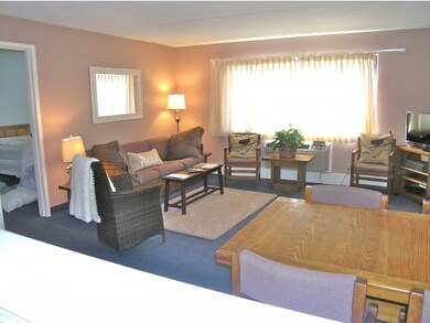 23 Black Bear Way unit 309, Waterville Valley, NH 03215 - photo 2