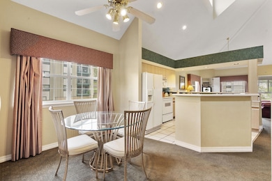 2-web-or-mls-DSC08377
