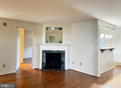 9141 Gracious End Ct unit 202, Columbia, MD 21046 - photo 7