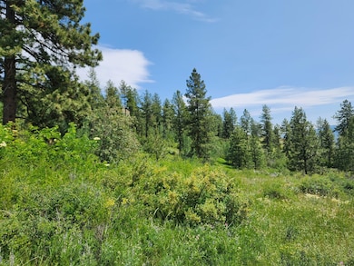 0 Tbd Roundabout Rd unit 23912009, Tonasket, WA 98855 - photo 6