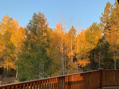 Fall Colors