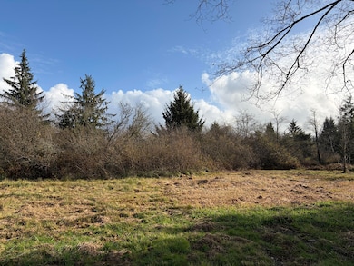 TL#2400 Alderbrook Rd, Tillamook, OR 97141 - photo 6