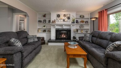 Living Room with Built-ins