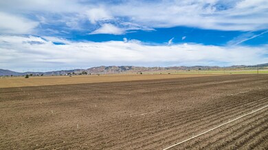 DJI_0078