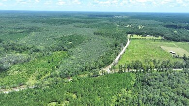 Xx Baron Rd unit LotWP002, Bonifay, FL 32427 - photo 2