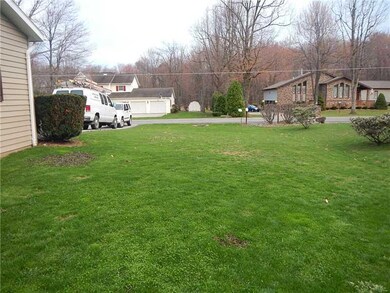 Yard/Garden.