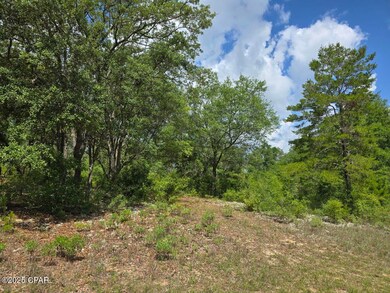 Lot 7 Caldwell Place, Chipley, FL 32428 - photo 5
