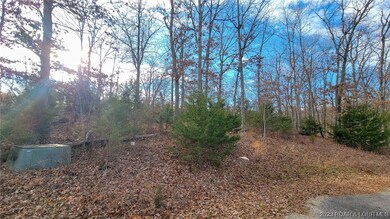 View of the lot from Fox Run Court