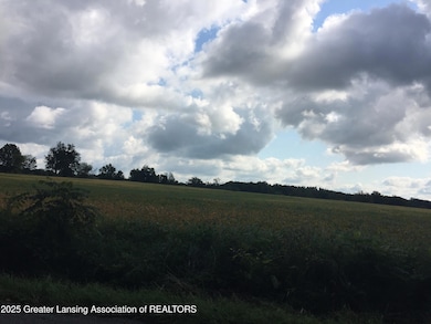 Vl Olds Rd, Leslie, MI 49251 - photo 4