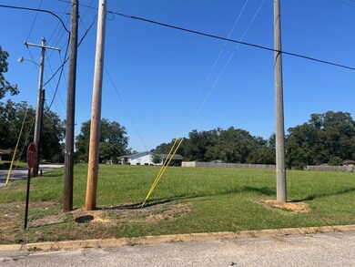 0 Bowden St, Brundidge, AL 36010 - photo 2