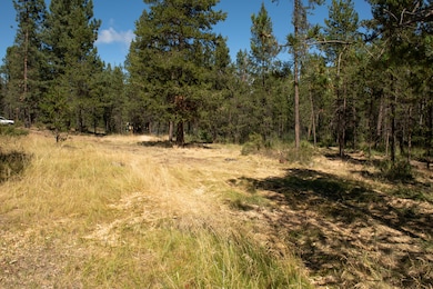 080620_0228 copy