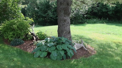 100 Derby Gore Rd, West Charleston, VT 05872 - photo 3