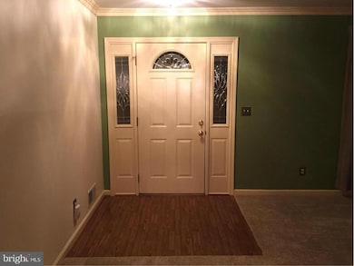 6910 Elm Dr, Alexandria, VA 22306 - photo 4