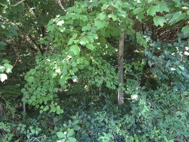 2.20 ac Buck Mountain Rd, Cookeville, TN 38506 - photo 5