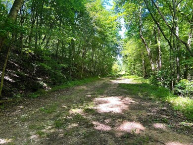 0 Charles Rd unit 22955892, Decatur, TN 37322 - photo 6