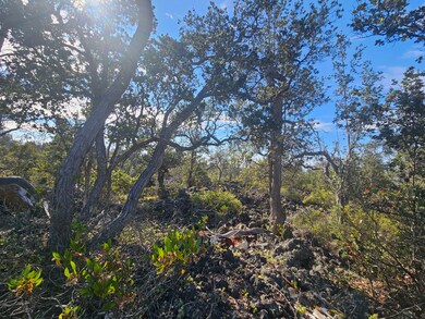 0 Coral Pkwy unit 724318, Ocean View, HI 96737 - photo 2