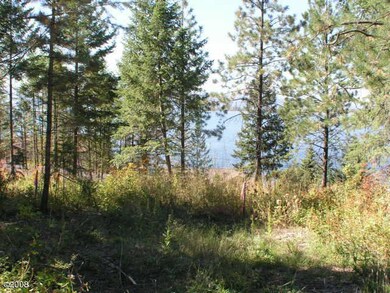 171&167 Whisper Ridge Dr, Bigfork, MT 59911 - photo 3