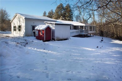 Large backyard with sun room & 2 sheds