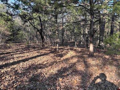 555-00002-000 Marion County 3063, Yellville, AR 72687 - photo 3