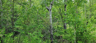 Lot 1-107 Steeple View Dr, Bethlehem, NH 03574 - photo 3