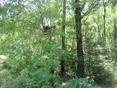 337 Noel, Cedar Point, TX 77351 - photo 3