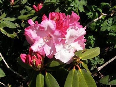 TL# 1801 Doughty Rd, Tillamook, OR 97141 - photo 4