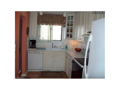 cheery immaculate kitchen